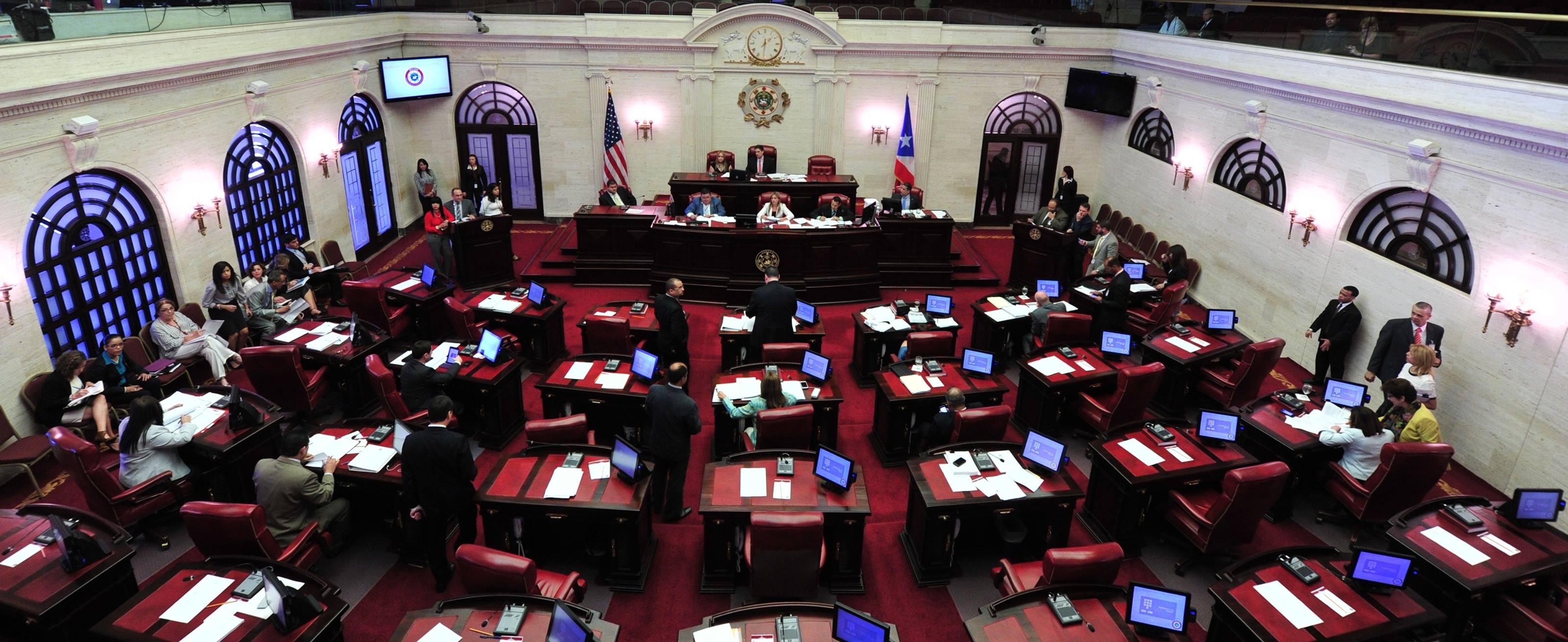 El Senado de Puerto Rico, que será presidido nuevamente por Tomás Rivera Schatz, contará por primera vez en la historia con un Senador Independiente, el Dr. José Vargas Vidot.